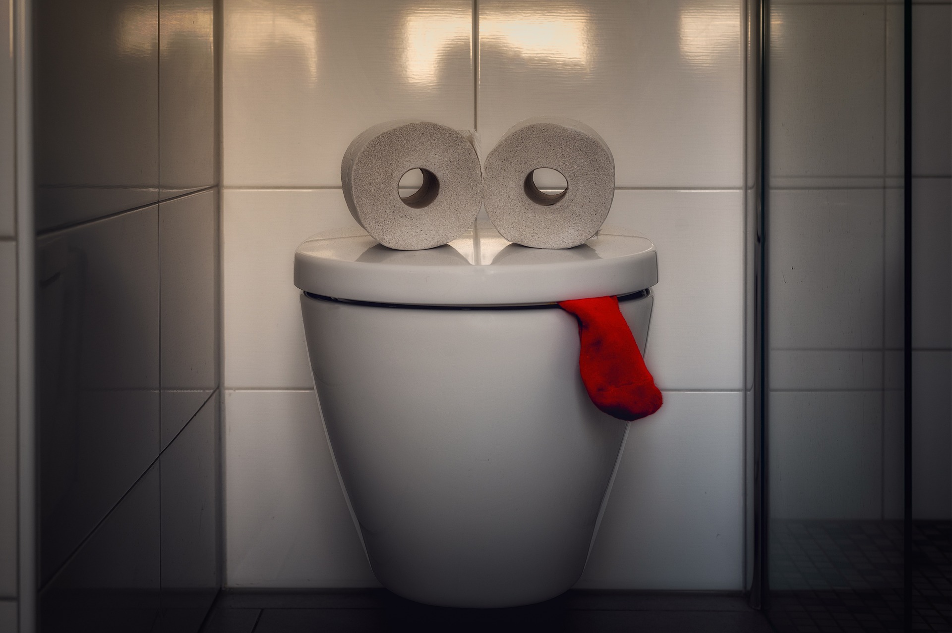 pokazene wc